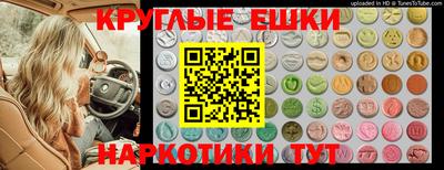 apvp Новозыбков