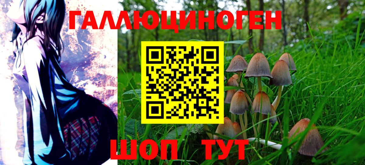 Псилоцибиновые грибы прущие грибы  Вход с VPN  купить закладку  Татарск 