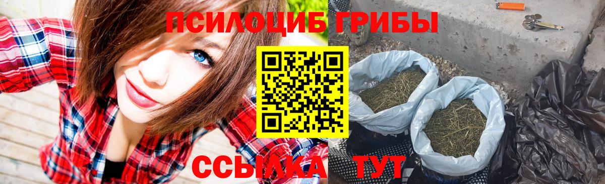 Псилоцибиновые грибы MAGIC MUSHROOMS Татарск